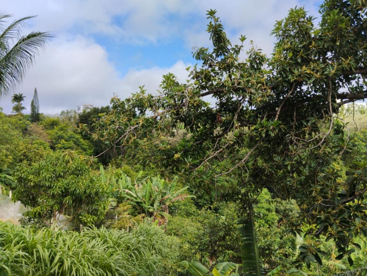 Apartamento Cercado Por Natureza E Diversao Maceio Dış mekan fotoğraf