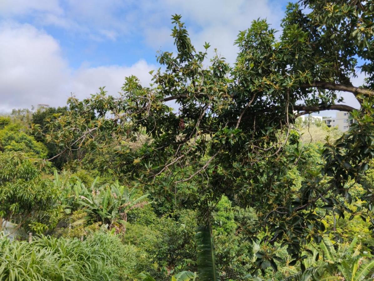 Apartamento Cercado Por Natureza E Diversao Maceio Dış mekan fotoğraf